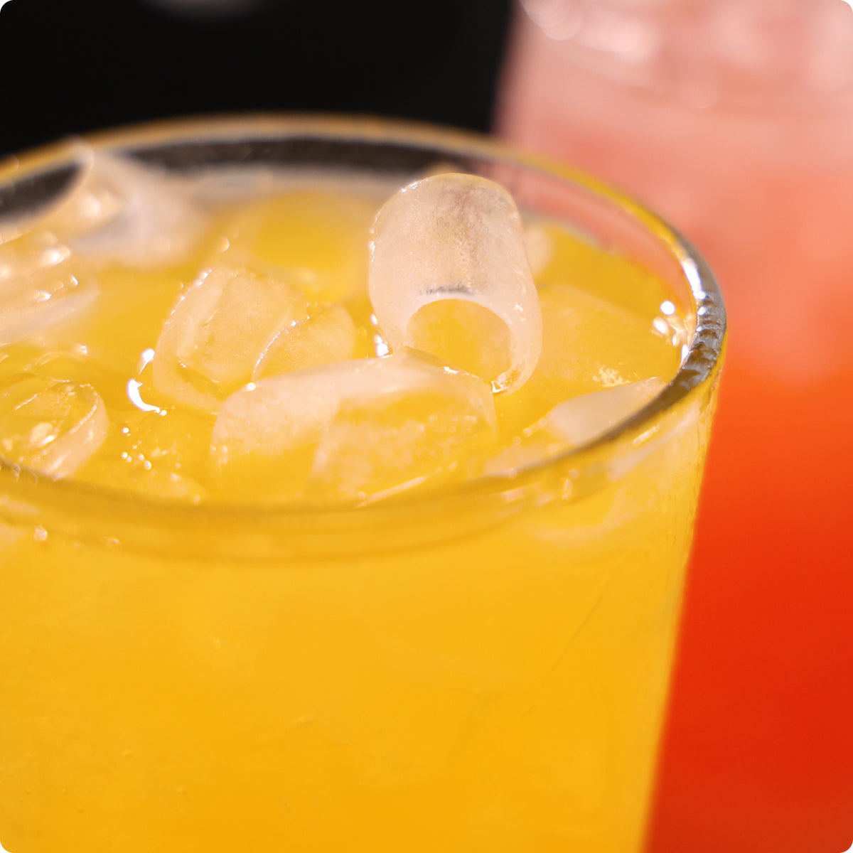9 Fresh Bullet Cubes Ready in 8–10 Minutes.